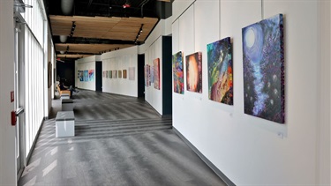 Tim Murphy Art Gallery