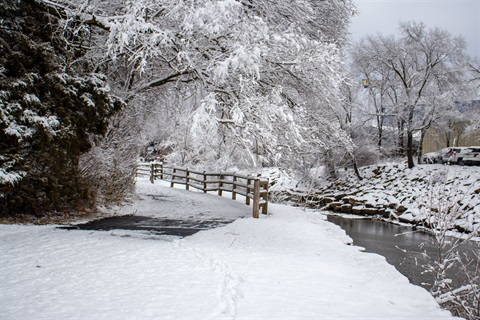 Turkey Creek Trail - Winter 2024