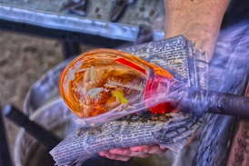 RockCottage glass bulb.jpg